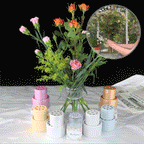 Spiral Ikebana Stem Holder for Flower Arrangement Set of 2