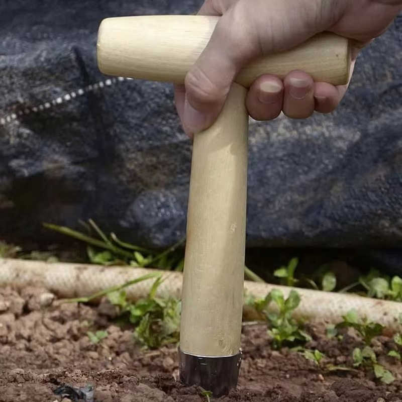 Stainless Steel Hand Dibber with Wood Handle for Seeds & Bulbs