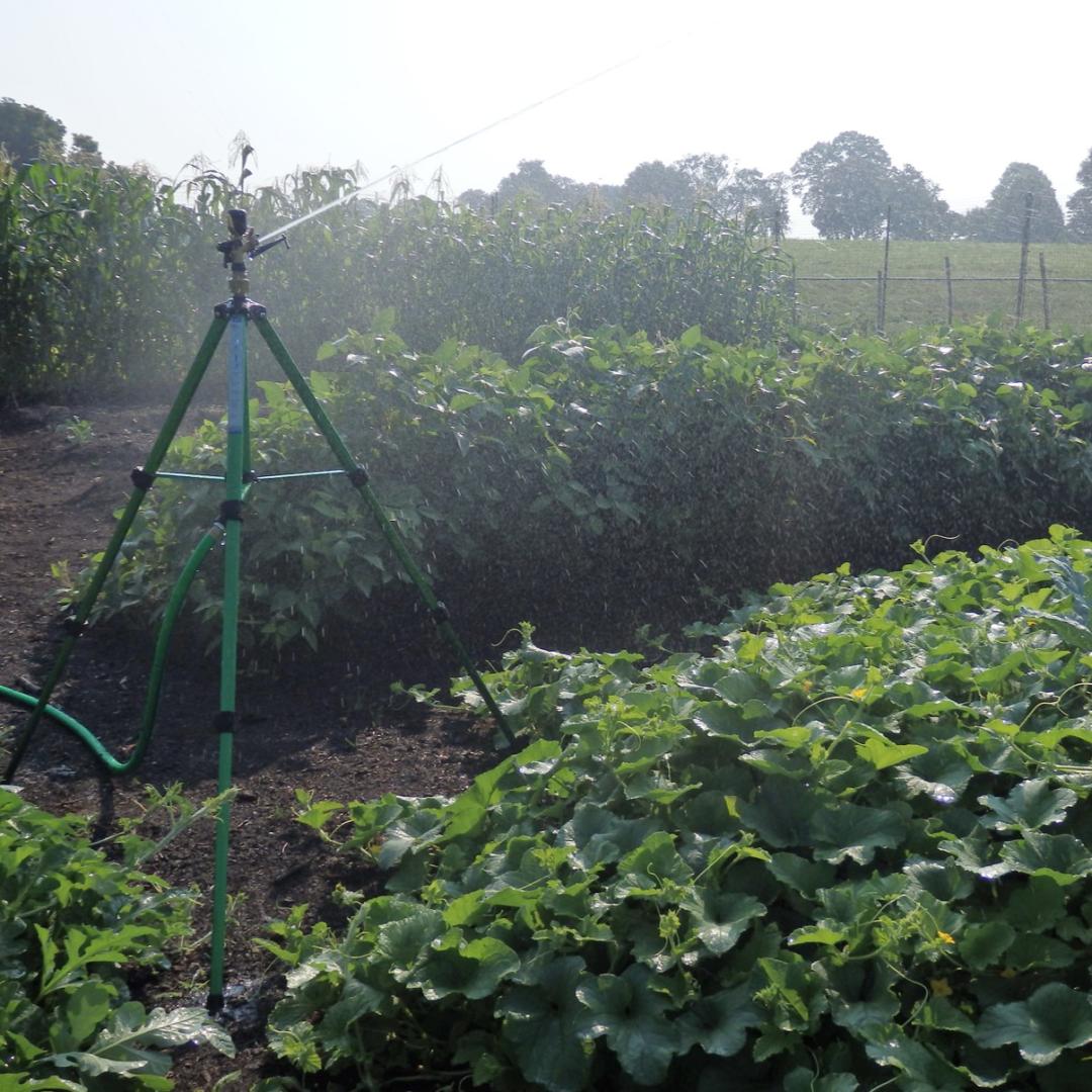 Telescoping Tripod with Part or Full Circle 3/4"- Koala Impulse Sprinkler (Adjustable)