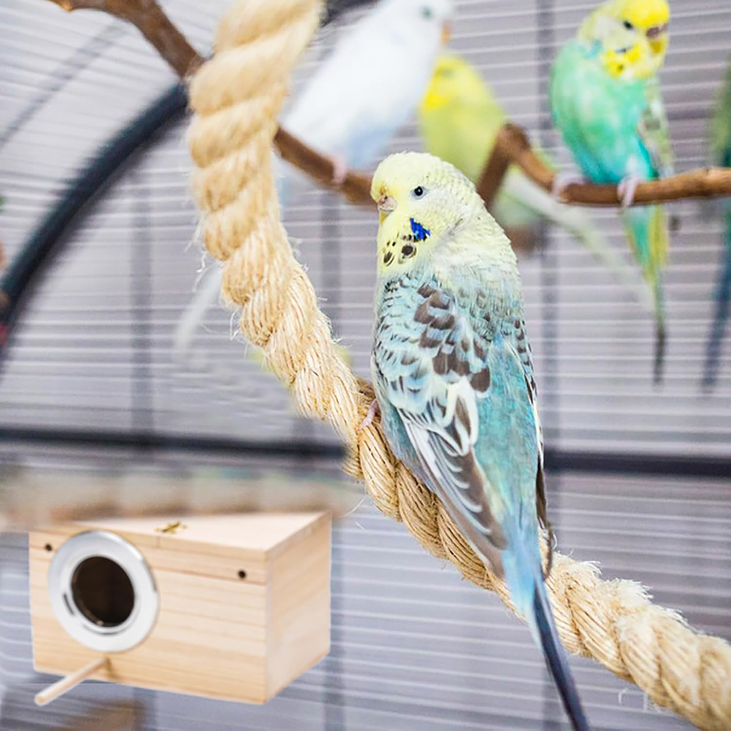 Wooden Bird Nesting Box for Parakeets, Budgies & Cockatiels