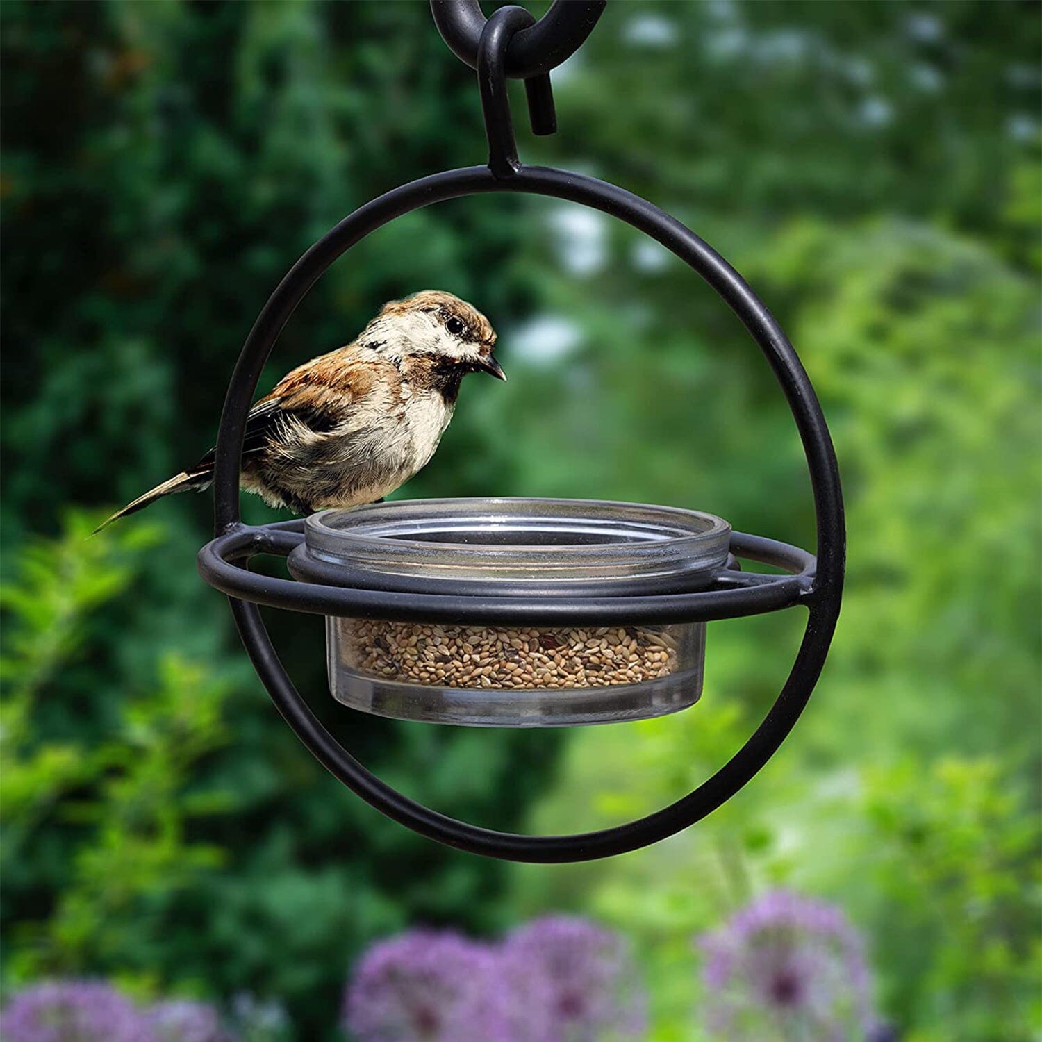 Black Steel Hummingbird Feeder with Clear Bowl for Outdoor Garden