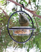 Black Steel Hummingbird Feeder with Clear Bowl for Outdoor Garden