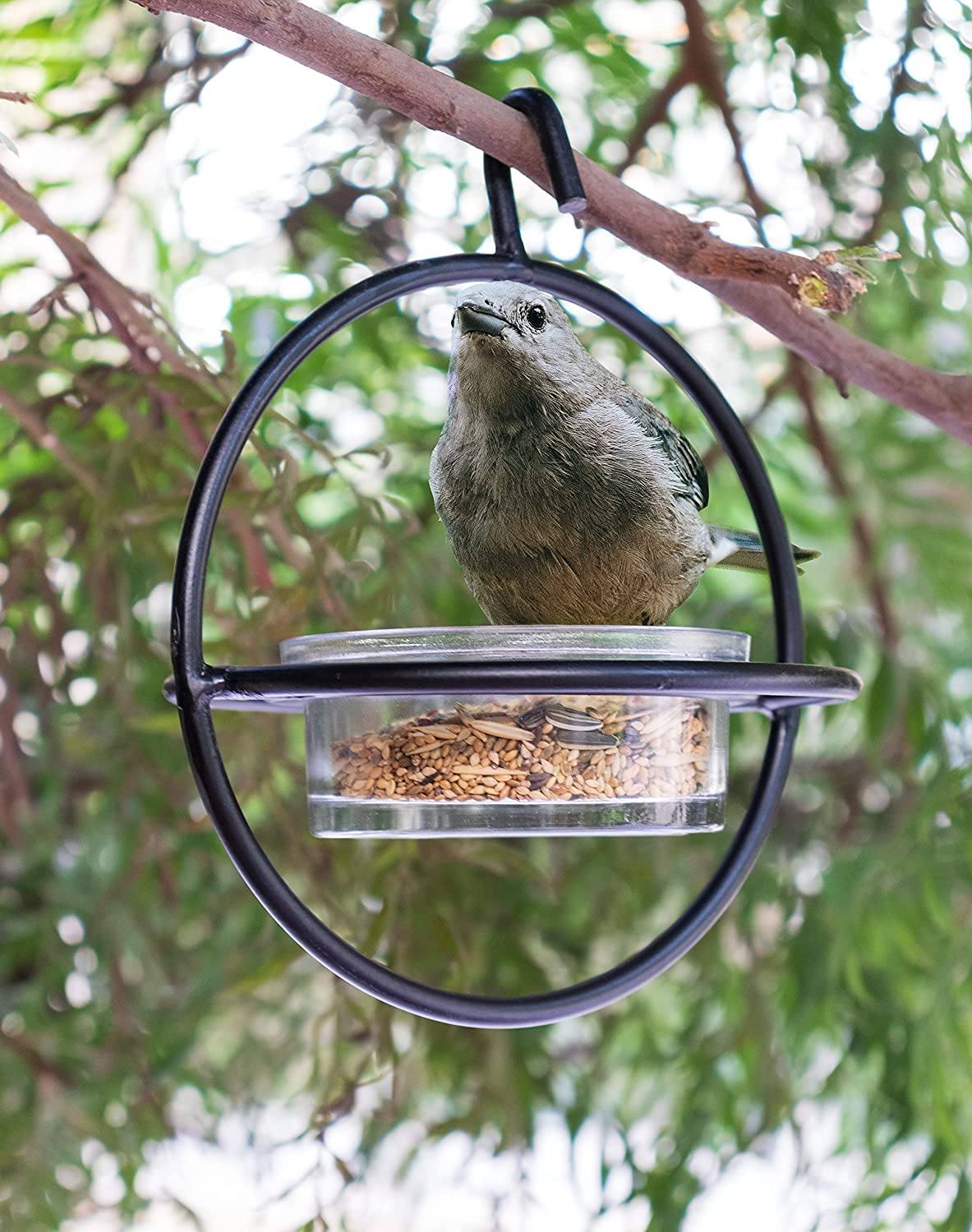Black Steel Hummingbird Feeder with Clear Bowl for Outdoor Garden