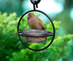 Black Steel Hummingbird Feeder with Clear Bowl for Outdoor Garden