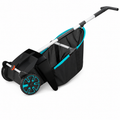 Lawn and Leaf Collector