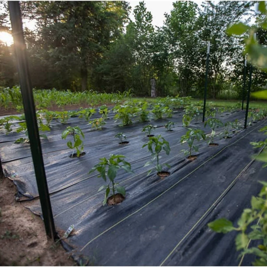 DeWitt UltraWeb 3000 - Woven Ground Cover