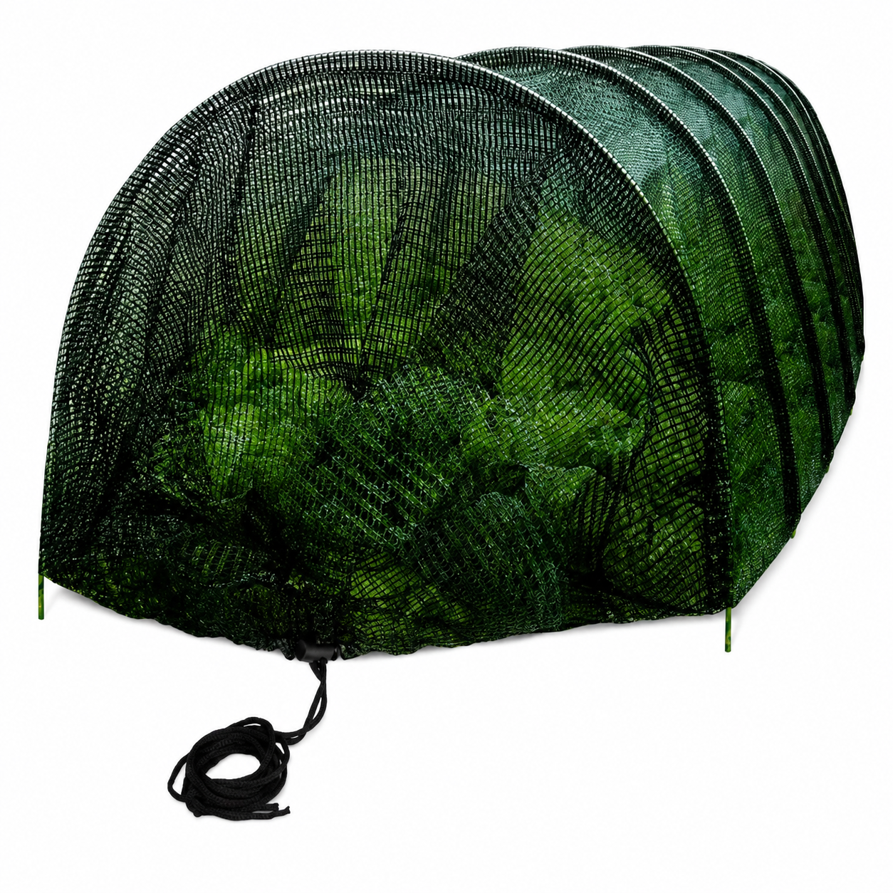 Portable Garden Frost Tunnel Shade Net