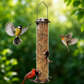 Stainless Steel Tube Bird Feeder for Wild Birds, Squirrel-Resistant