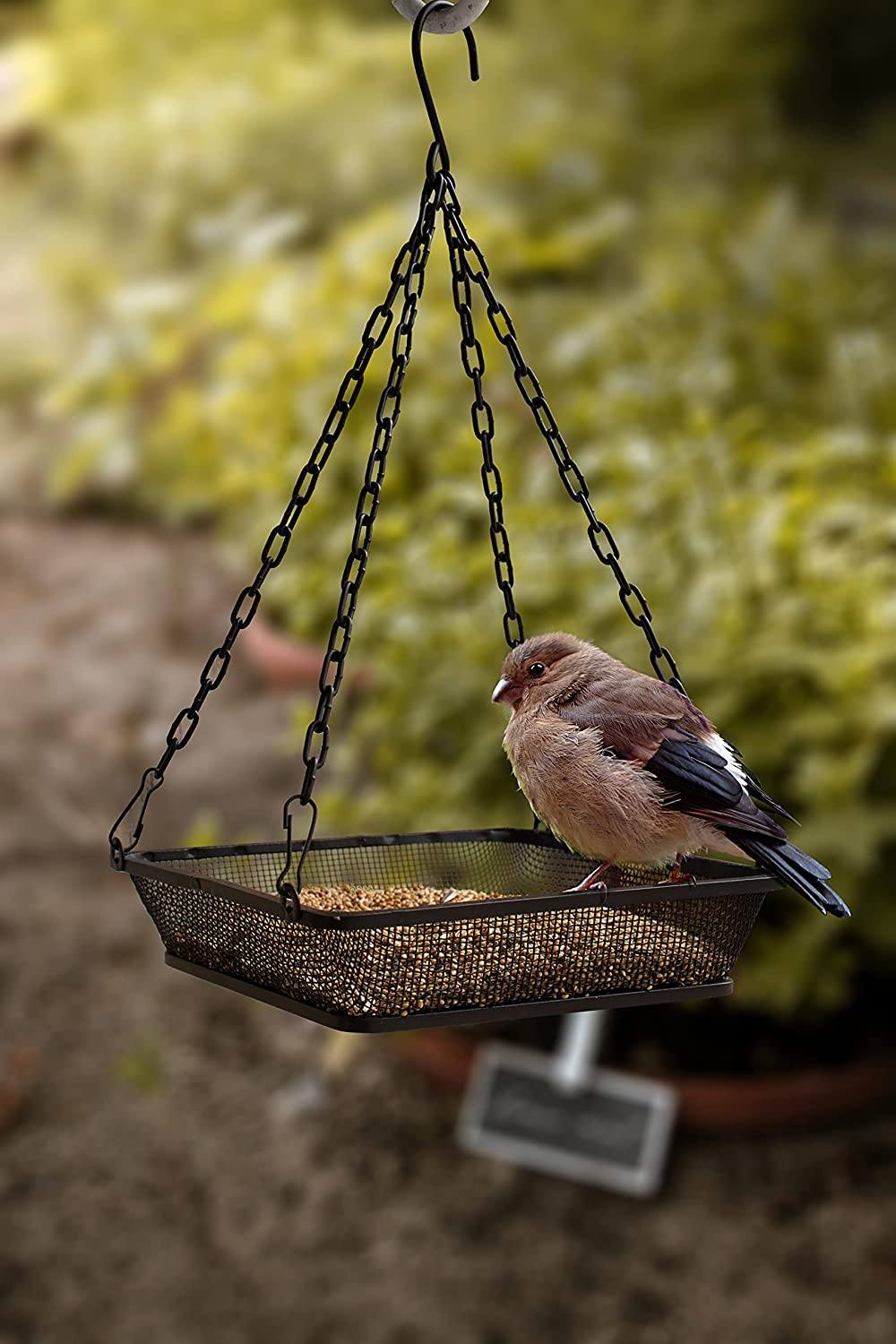 Black Hanging Platform Bird Feeder with Mesh Tray for Outdoor Birds