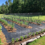 Polypropylene Woven Ground Cover