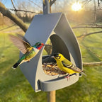 Modern Hanging Bird Feeder for Small Songbirds, Outdoor Garden Decor