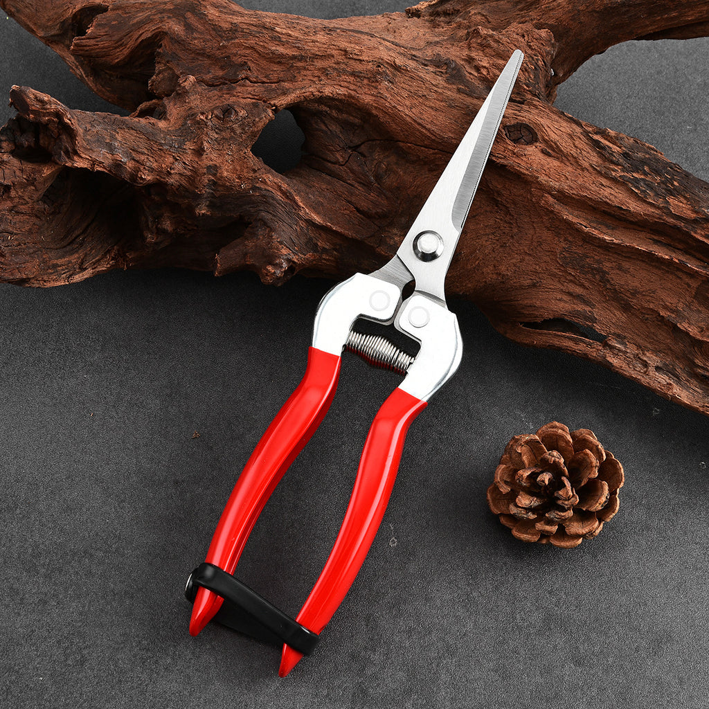 Garden Snips for Flowers, Herbs & Vegetable Harvesting