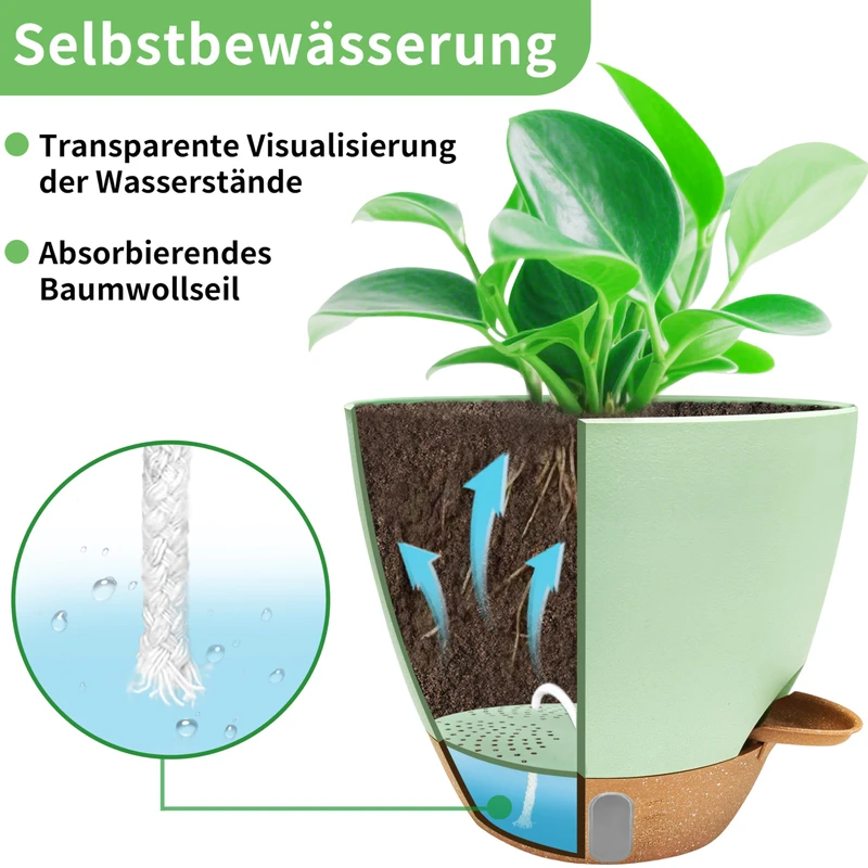 Self-Watering Planter for Indoor Plants with Visible Water Level