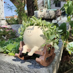 Smiley Face Hanging Planter Pot Rocking Chair Planter