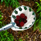 Fruit Picker Head Basket