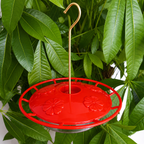 Hummingbird Feeder with Built-In Ant Moat, 5 Feeding Ports, 10.58 oz