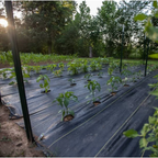 Polypropylene Woven Ground Cover