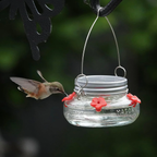 Mason Jar Hummingbird Dish Feeder Hanging Nectar Feeder 2 Pack