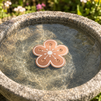Pure Copper Bird Bath Purifier Disc for Algae Control