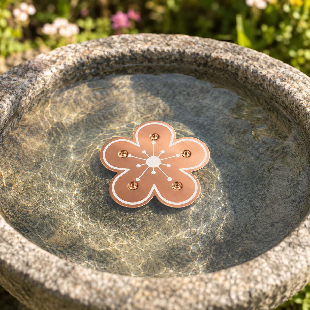 Pure Copper Bird Bath Purifier Disc for Algae Control