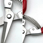 Garden Snips for Flowers, Herbs & Vegetable Harvesting