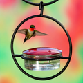 Black Steel Hummingbird Feeder with Clear Bowl for Outdoor Garden