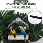 Clear View Window Bird Feeder for Bird Watching with Suction Cups