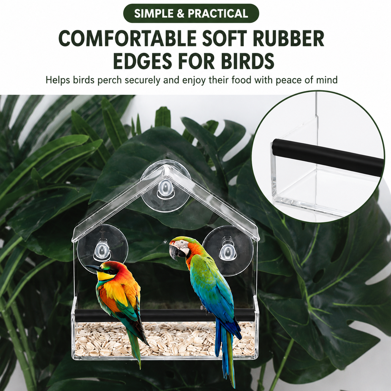 Clear View Window Bird Feeder for Bird Watching with Suction Cups