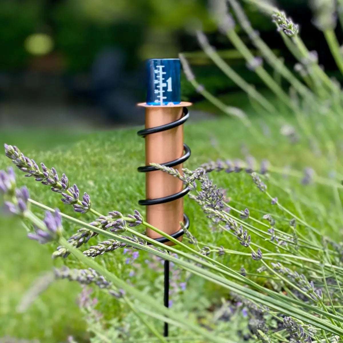 Solid Copper Rain Gauge with Garden Stake