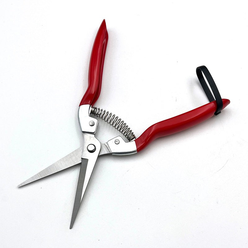 Garden Snips for Flowers, Herbs & Vegetable Harvesting