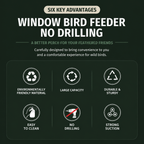 Clear View Window Bird Feeder for Bird Watching with Suction Cups