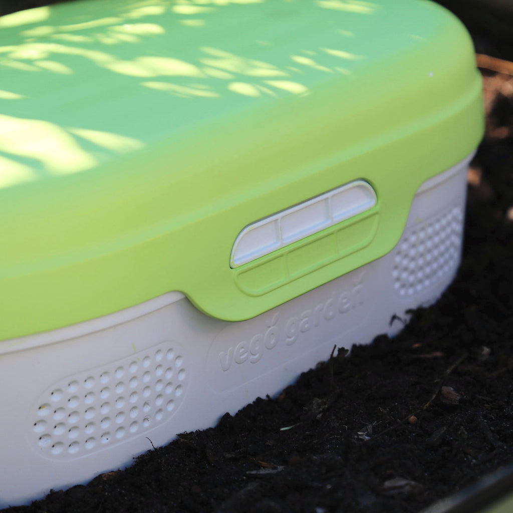 In-Ground Worm Composter Bin for Garden Beds