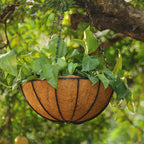 Half Round Wall Planter with Coconut Fiber Liner for Outdoor Garden