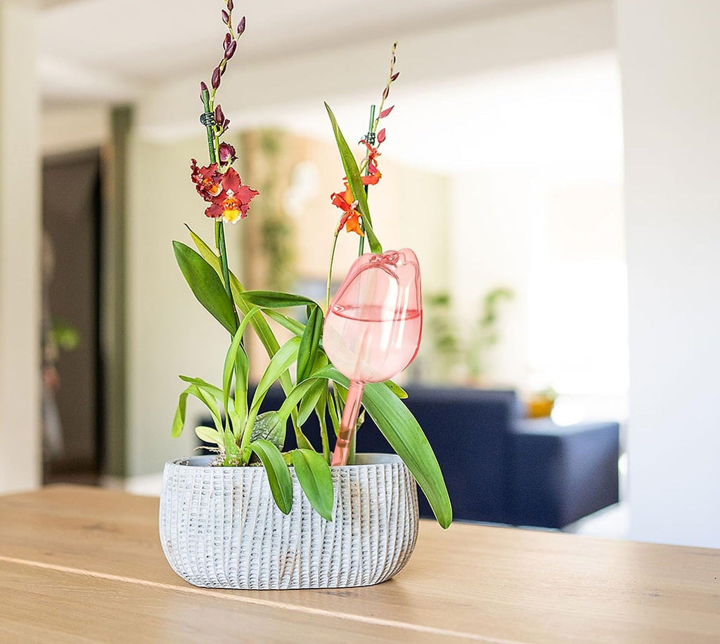 Self-Watering Tulip Plant Balloons 2/4 Pack – Drip Irrigation Tools