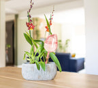 Self-Watering Tulip Plant Balloons 2/4 Pack – Drip Irrigation Tools