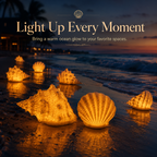 2-Piece Coastal Seashell & Conch Night Light Set
