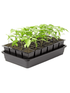 Seed Starter Kit