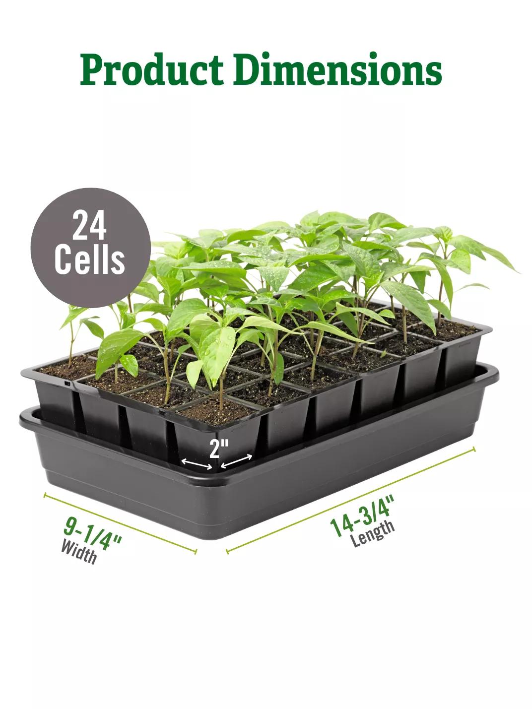Seed Starter Kit