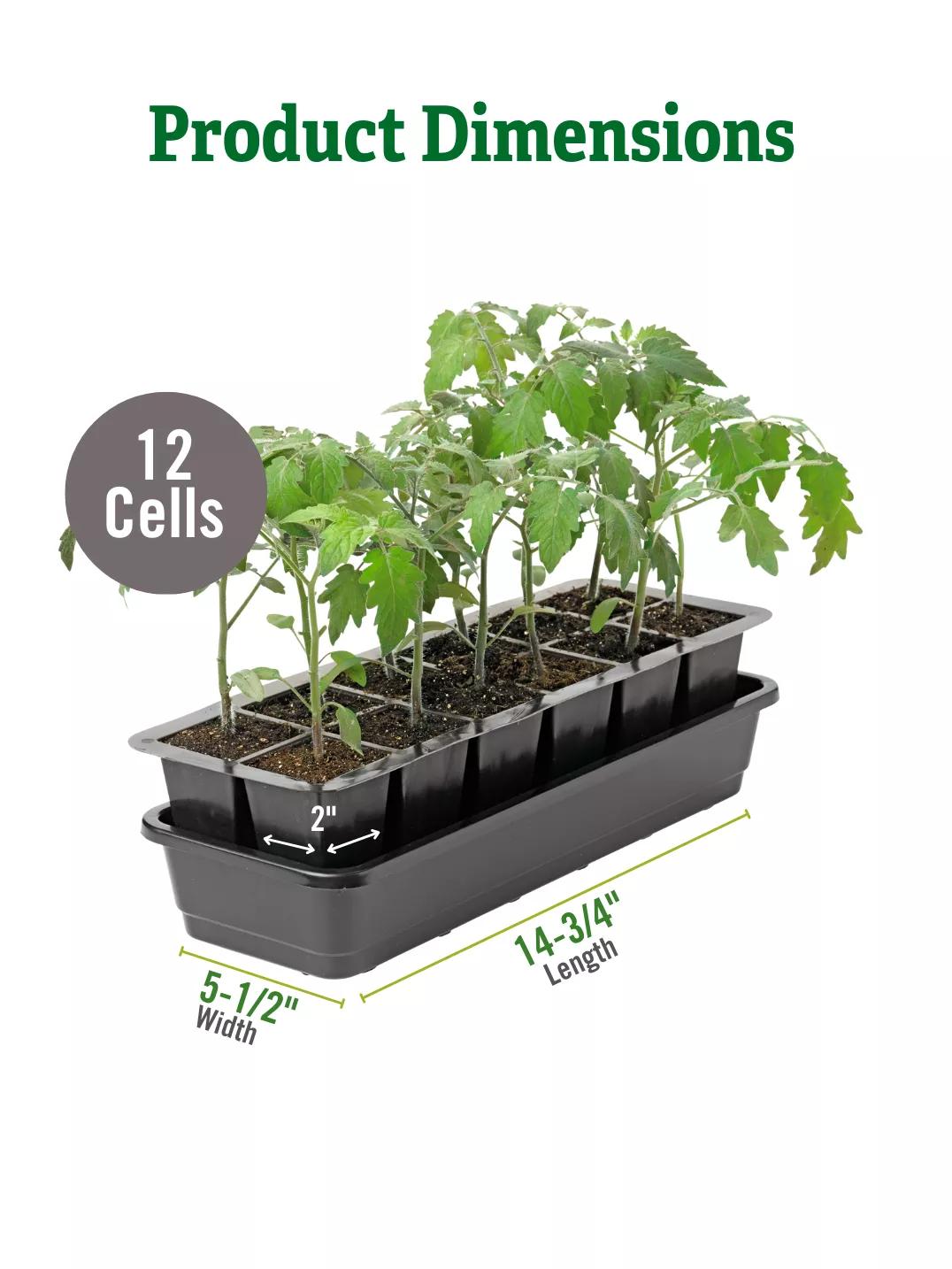 Seed Starter Kit