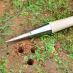 Stainless Steel Hand Dibber with Wood Handle for Seeds & Bulbs