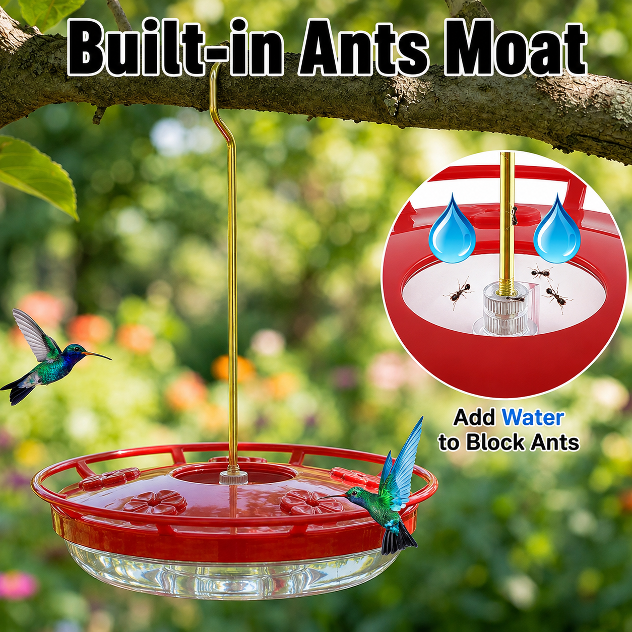 Hummingbird Feeder with Built-In Ant Moat, 5 Feeding Ports, 10.58 oz