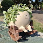 Smiley Face Hanging Planter Pot Rocking Chair Planter