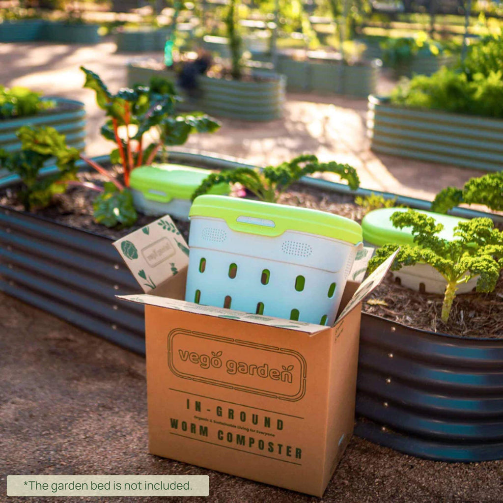 In-Ground Worm Composter Bin for Garden Beds