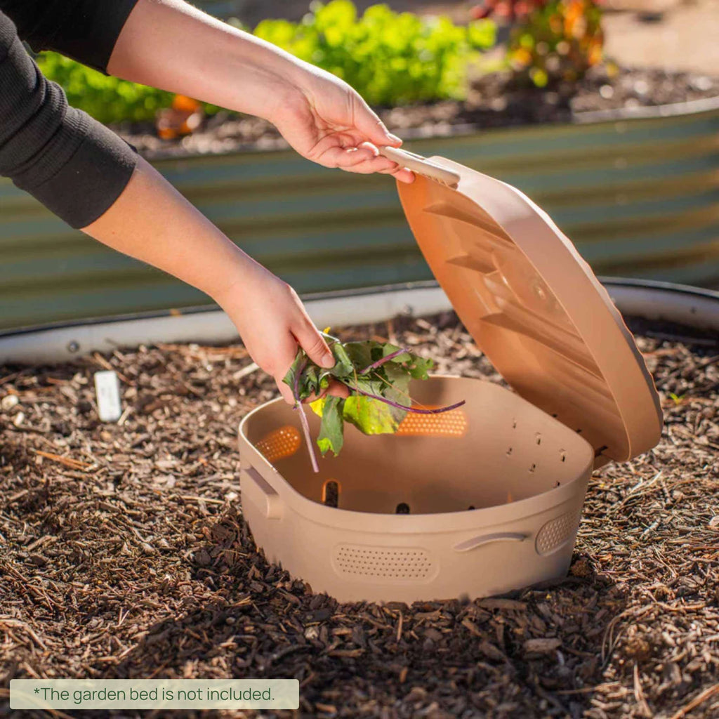 In-Ground Worm Composter Bin for Garden Beds