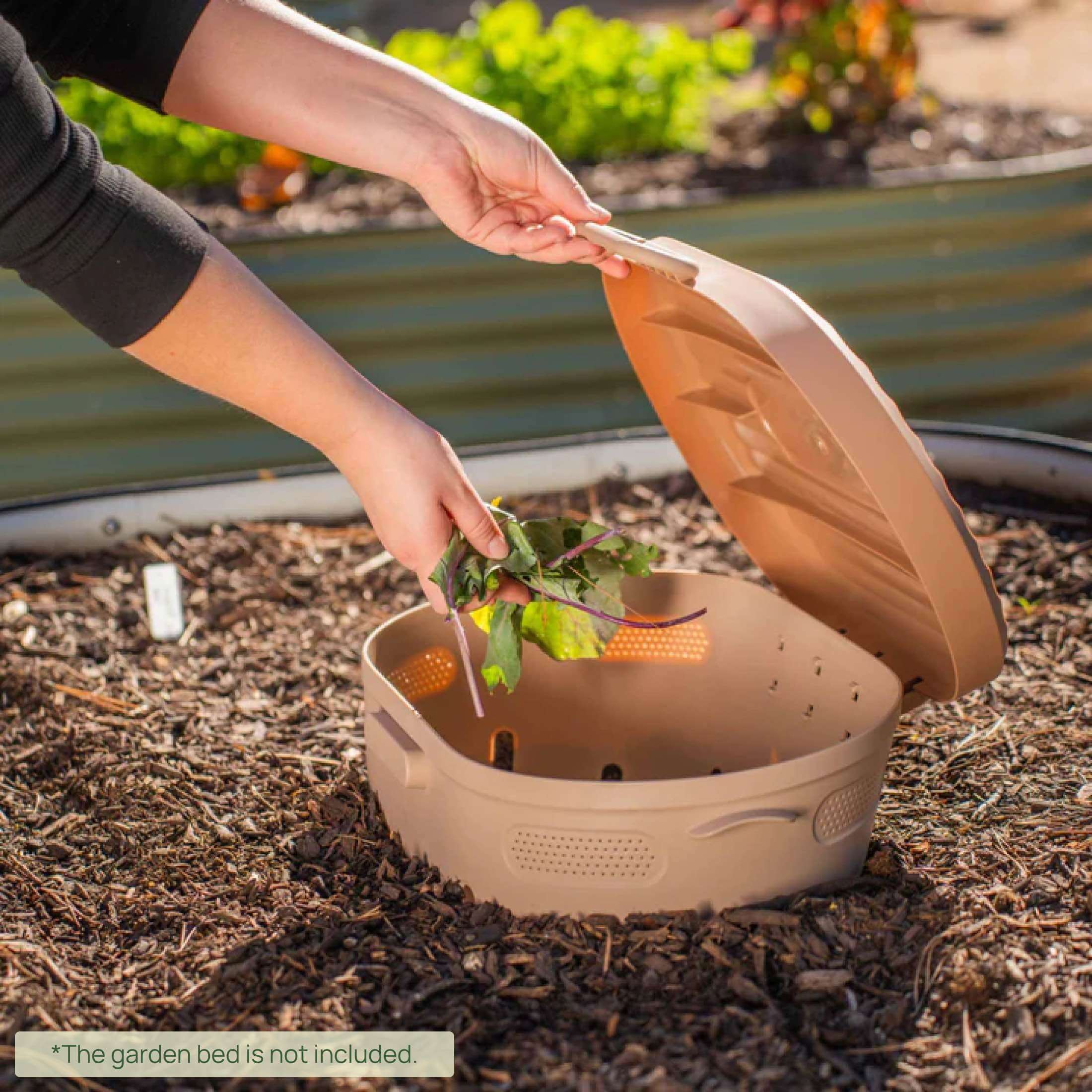 In-Ground Worm Composter Bin for Garden Beds