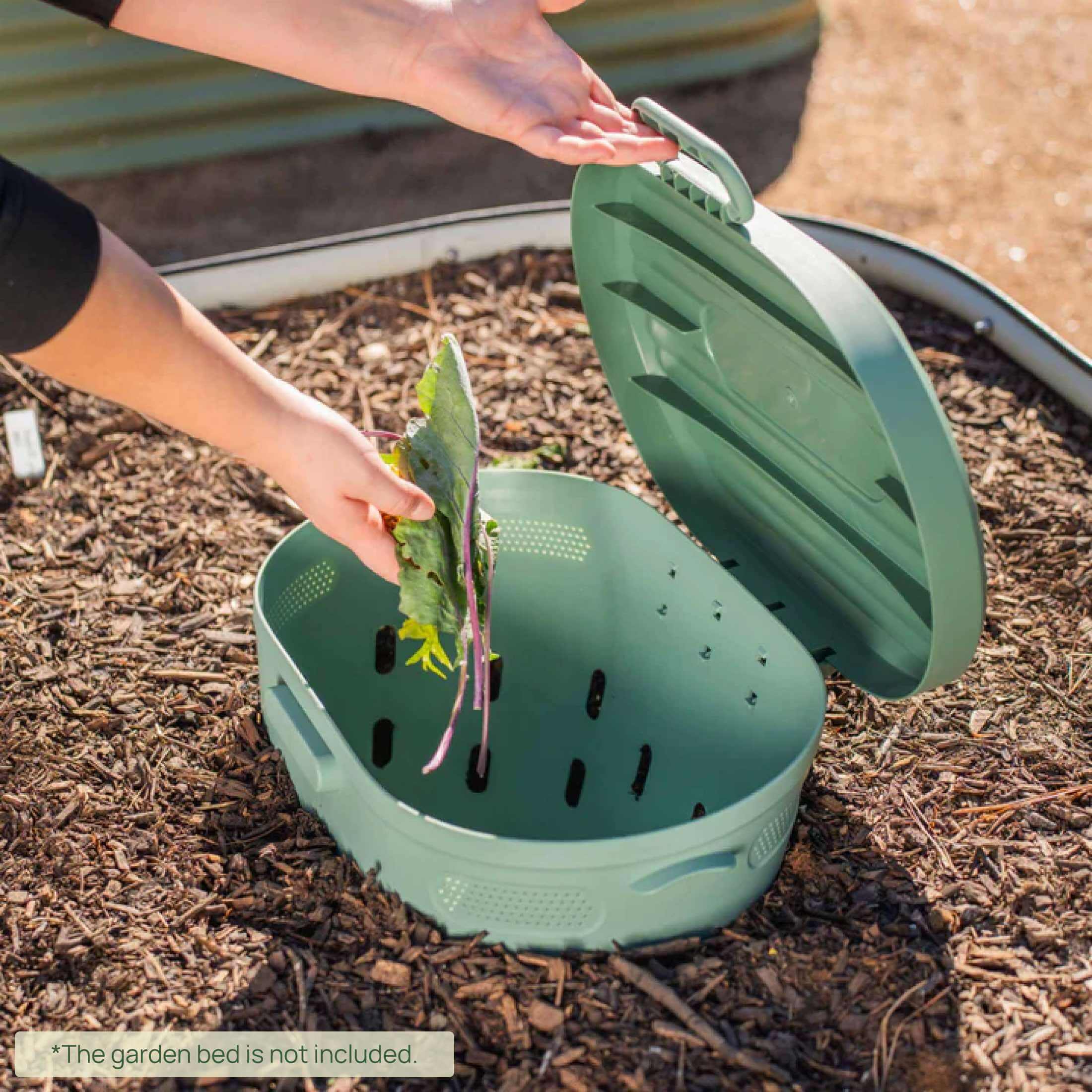 In-Ground Worm Composter Bin for Garden Beds
