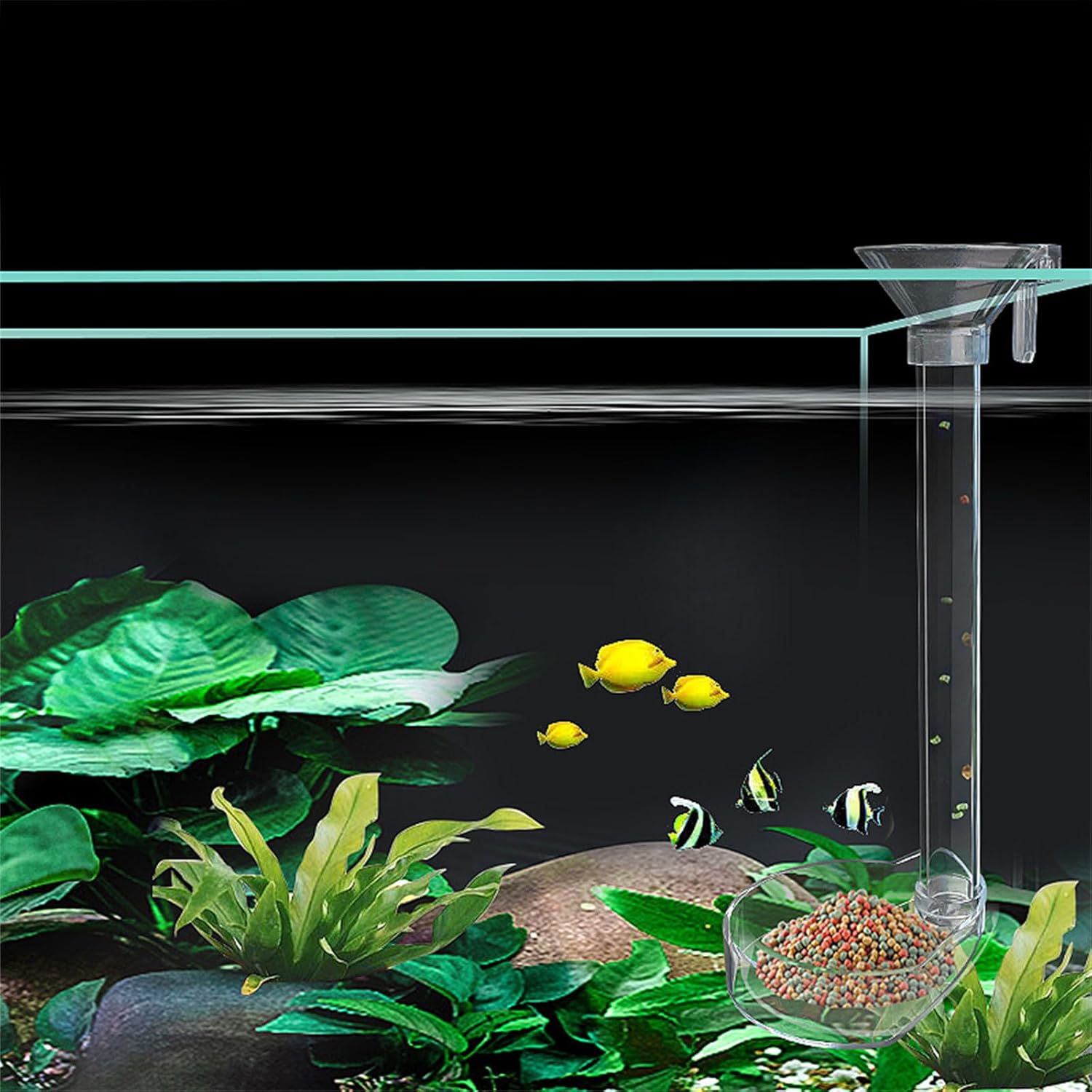 Anti Drift Fish Feeding Feeder for Aquarium Tank