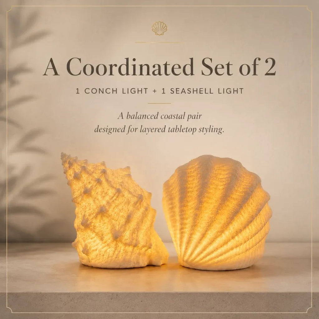 2-Piece Coastal Seashell & Conch Night Light Set