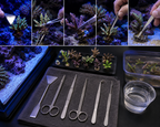 Aquascaping Kit, 5 Heavy Duty Stainless Steel Aquarium Tools
