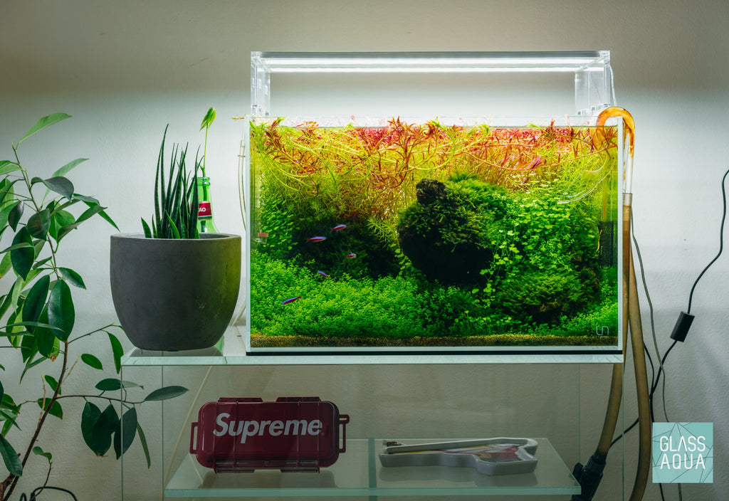 Pro Aquascaping Tool Kit